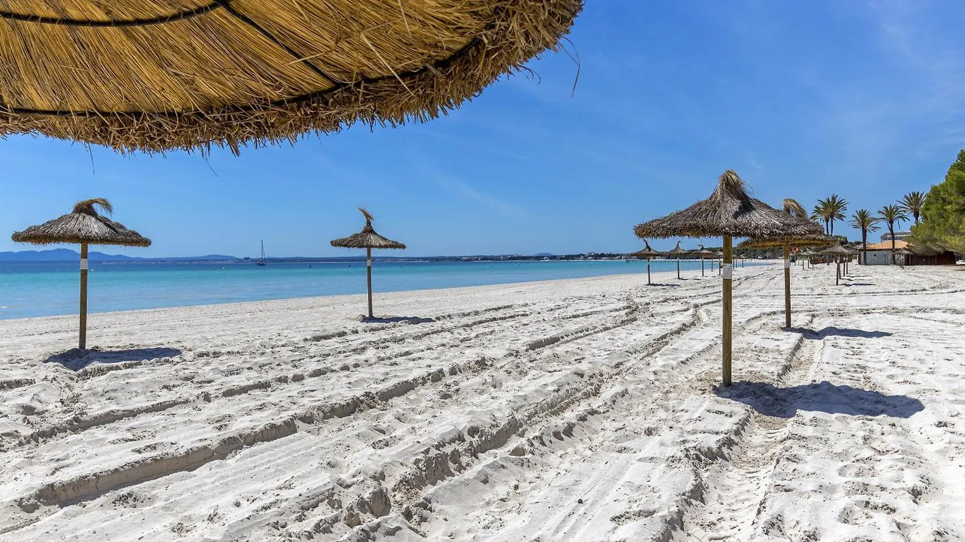 Apartment Just 150 M From The Alcudia Beach Port d'Alcúdia Espagne